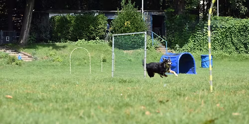 We are back in the Hoopers Game