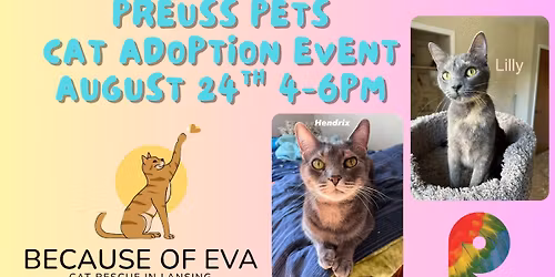 Cat Adoption Event with Because of Eva Cat Rescue