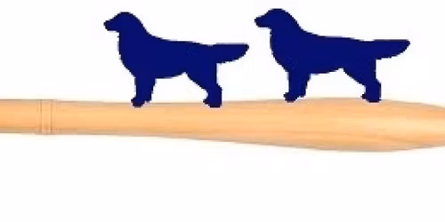 ALV en Keuringsdag met Veteranencompetitie