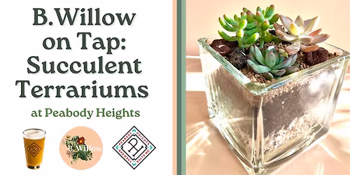 B.Willow on Tap: Succulent Terrariums at Peabody Heights Brewery