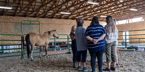 Women's Equine Gestalt Circle