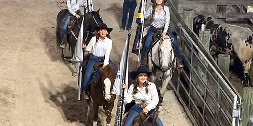 Lee County Posse CDR flag try out #1