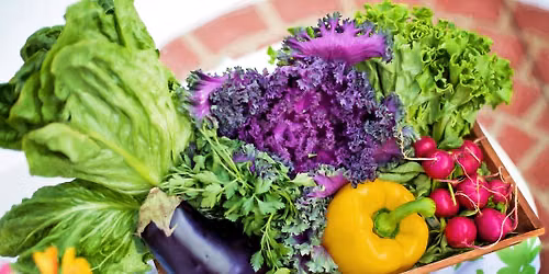 Whole Food Plant Based cooking class. 