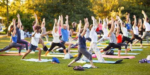 Yoga at Thornwald Park