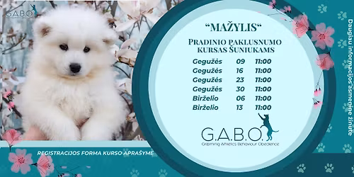 (05.09-06.13) \u201eMa\u017eylis\u201c pradinio paklusnumo kursas \u0161uniukams