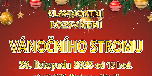 Slavnostn\u00ed rozsv\u00edcen\u00ed v\u00e1no\u010dn\u00edho stromu