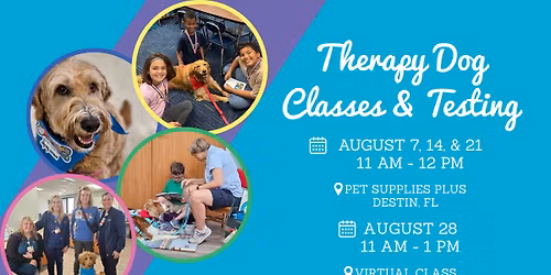 Therapy Dog Classes & Testing
