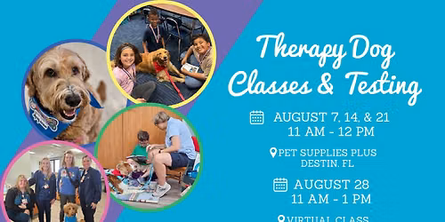 Therapy Dog Classes & Testing