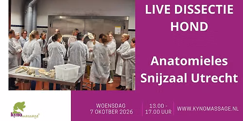 1-daags Practicum Anatomie 2 Snijzaal Utrecht: Live Dissectie