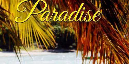 Book Launch A Brush With Paradise