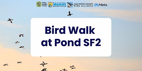 Bird Walk at Pond SF2