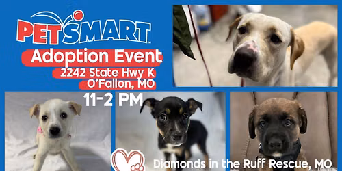 Adoption Event at Petsmart, O\u2019Fallon, Hwy K
