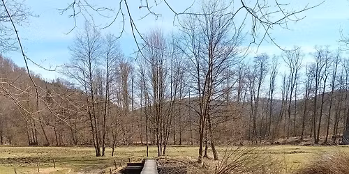 \u010cavisovsk\u00e1 \ud83d\udcaf