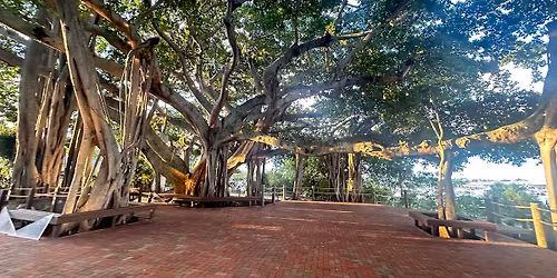 Wellness at the Light: Twilight Yoga