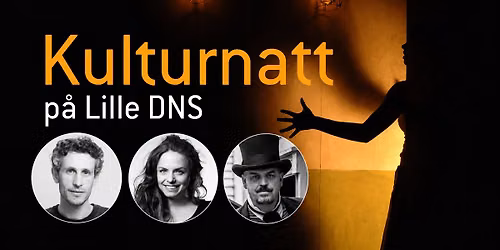 Kulturnatt p\u00e5 Lille DNS