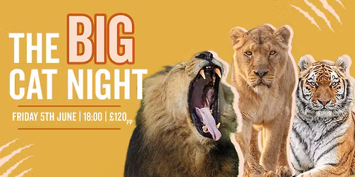 Big Cat Night