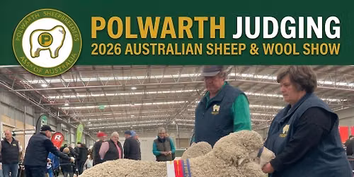 Polwarth Judging - Australian Sheep & Wool Show