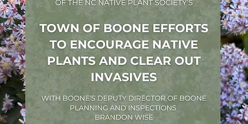 Town of Boone Efforts to Encourage Native Plants and Clear Out Invasives