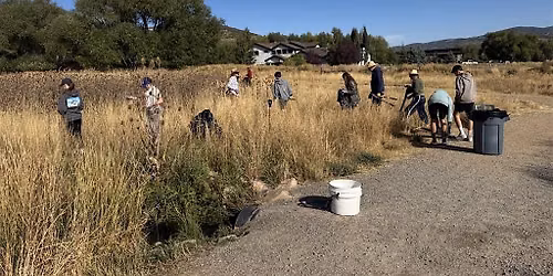 Thriving Land Thursdays: W**d Wrangling on the 910 Ranch