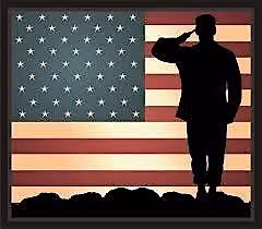 Veterans Involved Parkinson's (V.I.P.)