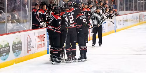 Peoria Rivermen at Birmingham Bulls