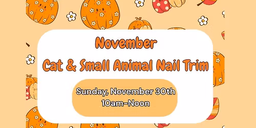 November Cat and Small Animal Nail Trim