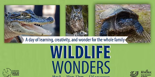 Wildlife Wonders