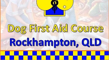 Rockhampton 08\/11\/2025 - Dog First Aid Course 