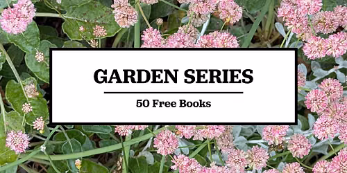 Garden Series feat. Nina LaCour, Gatlin, Healthcare, and Samantha Wilson