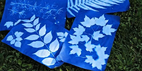 Cyanotype art with the Sun 