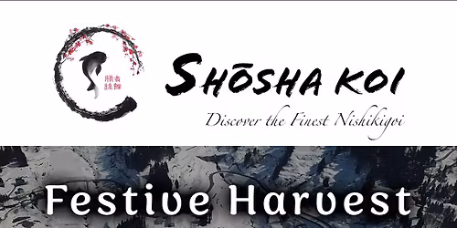 The Shosha Koi Festive Harvest Event 2025