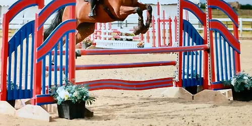 WHADDON CHASE PONY CLUB TEAM & INDIVIDUAL SHOW JUMPING