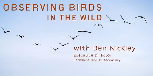 Observing Birds in the Wild with Ben Nickley