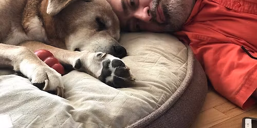 Celebration of Life for AJ Gilbert