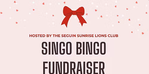 Singo Bingo Fundraiser