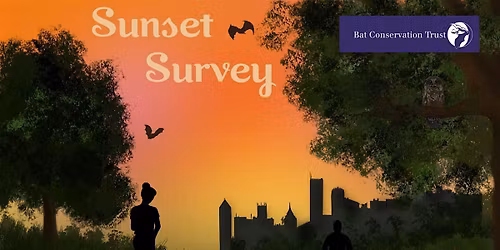 Wildlife at Dusk: An Evening at Willesden Jewish Cemetery
