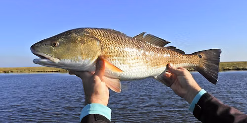 Stono River Fishing Club - Monthly Meeting