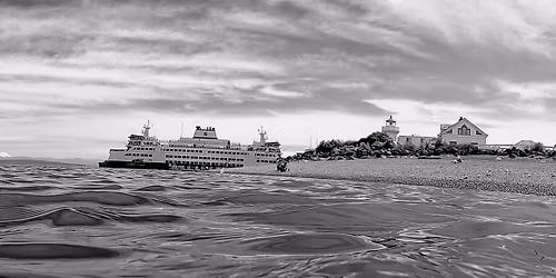 New Moon Swimble + Drinks & Apps After