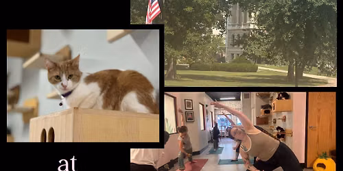 Outdoor Yoga then Cat Time at RubyCats