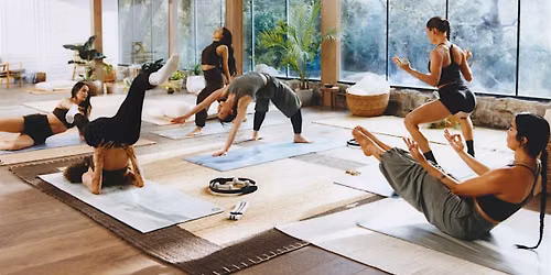 Free Community Yoga Class at lululemon Missoula
