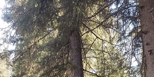 Daryl Ashbee Celebration Of Life