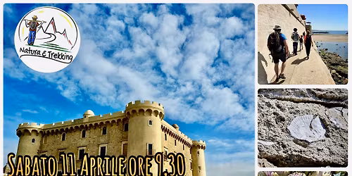 Tra sentieri, onde e sapori: escursione tra mare, storia e sagra del carciofo!