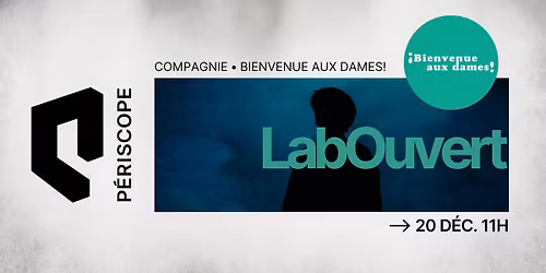 LabOuvert du P\u00e9riscope\u2219 Bienvenue aux dames! \u2219 Sortir par l'horizon