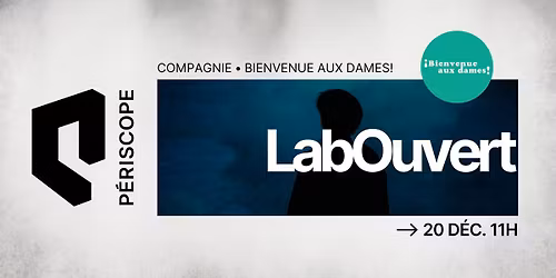 LabOuvert du P\u00e9riscope\u2219 Bienvenue aux dames! \u2219 Sortir par l'horizon