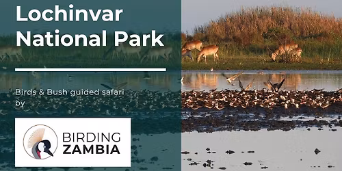 Lochinvar National Park 11 - 14 September 2026