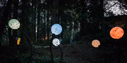 Light Art Experience "Nature After Dark"