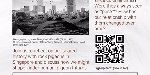 Exploring our shared history with rock pigeons in Singapore