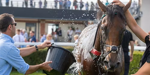 Flat Season Opener Raceday