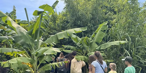 Nature Eco Tour