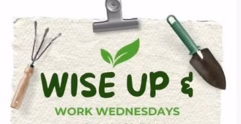 Wise Up & Work Wednesday